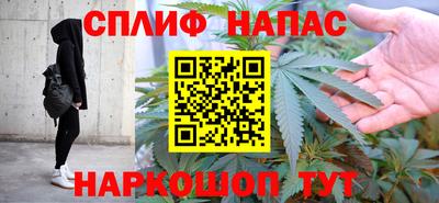 СК Моздок